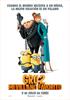 Gru, mi villano favorito 2