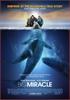 Una aventura extraordinaria (Big Miracle)