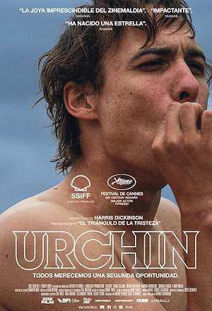 Urchin