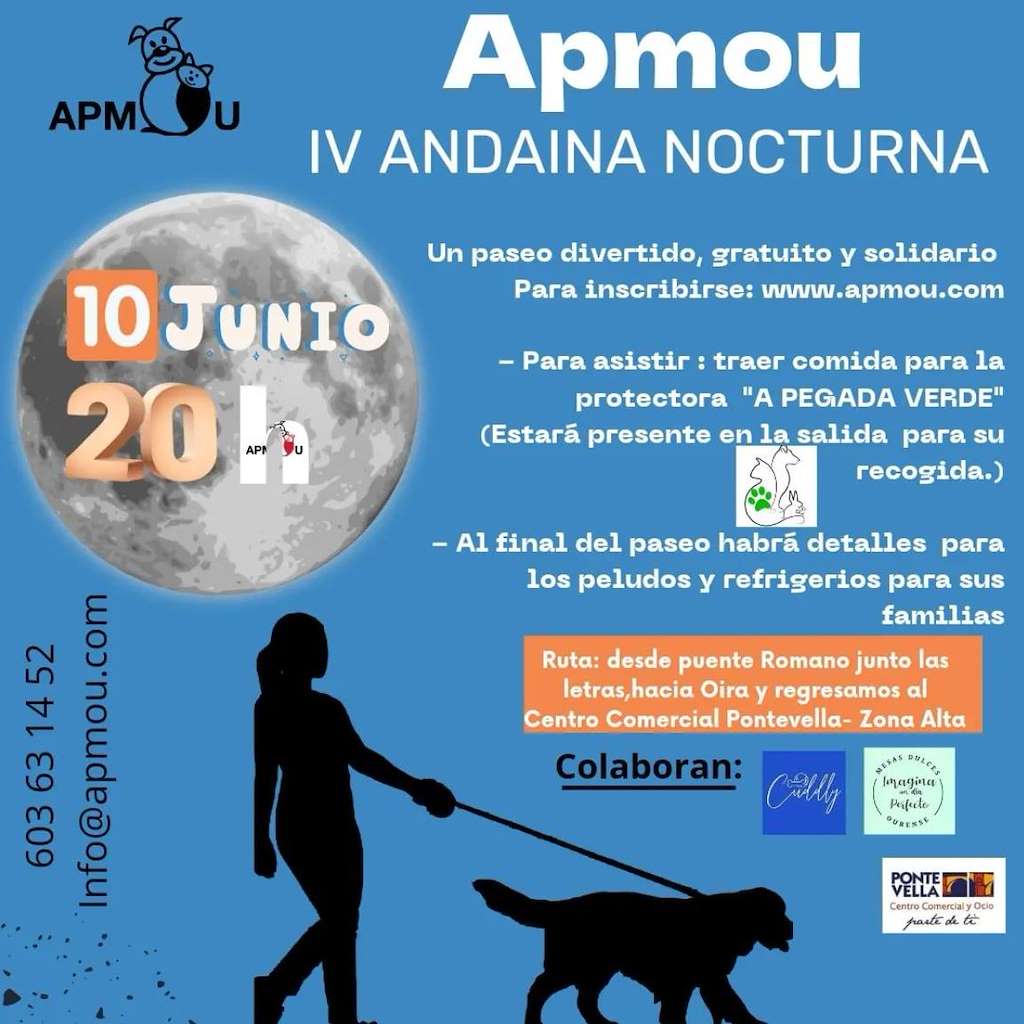 IV Andaina Nocturna APMOU en Ourense
