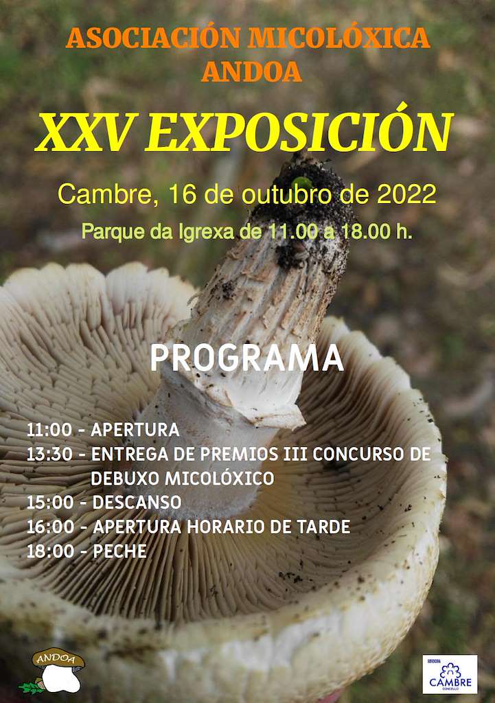 XXV Exposición da Asociación Micolóxica Andoa en Cambre