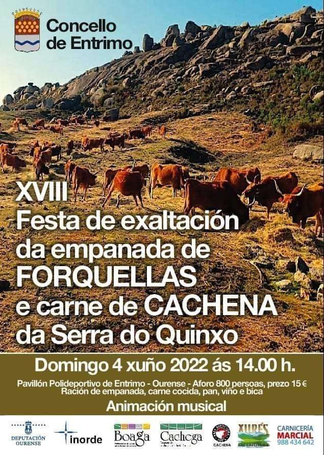 XVIII Festa da Empanada de Forquellas e Carne de Cachena da Serra do Quinxo en Entrimo