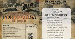 Fechas, información, programa, cartel, imágenes, mapa y ubicación de VII Festa do Porco Celta  en  Friol