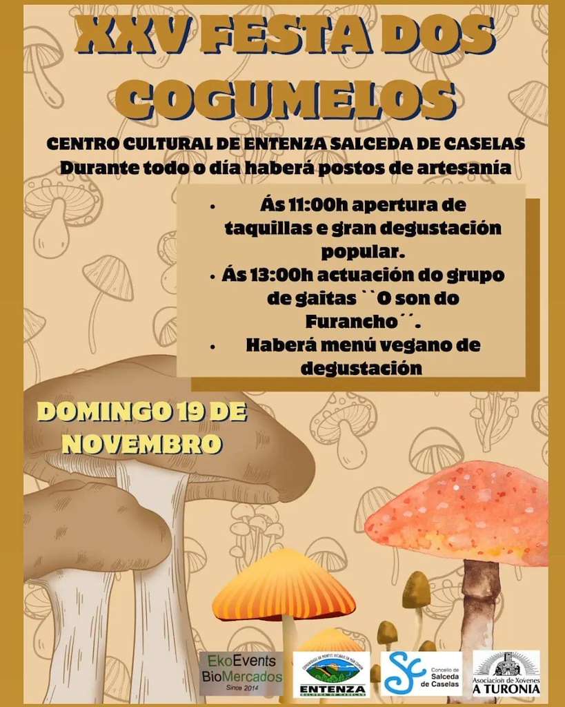 XXV Festa dos Cogumelos en Salceda de Caselas