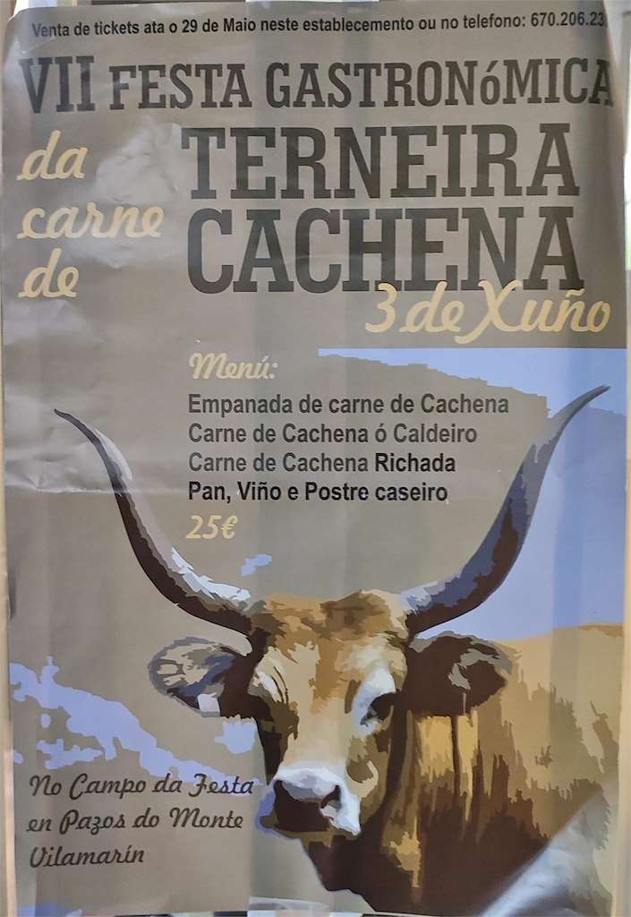 VII Festa Gastronómica da Terneira Cachena en Vilamarín