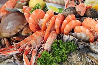 LXII Festa do Marisco en O Grove