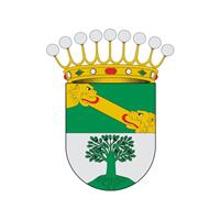 Logotipo  Ayuntamiento - Concello Lalín