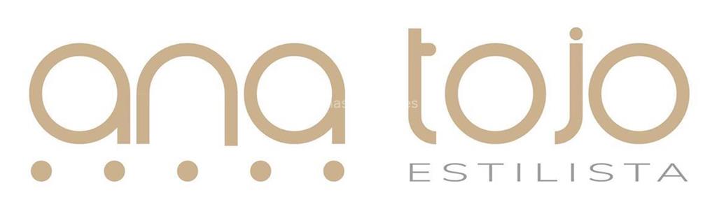 logotipo Ana Tojo Estilista
