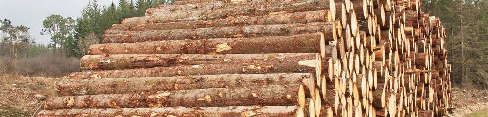 Aserraderos de madera en provincia Pontevedra