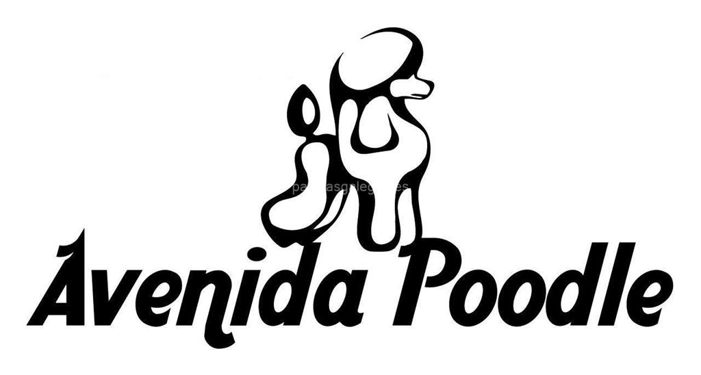 logotipo Avenida Poodle