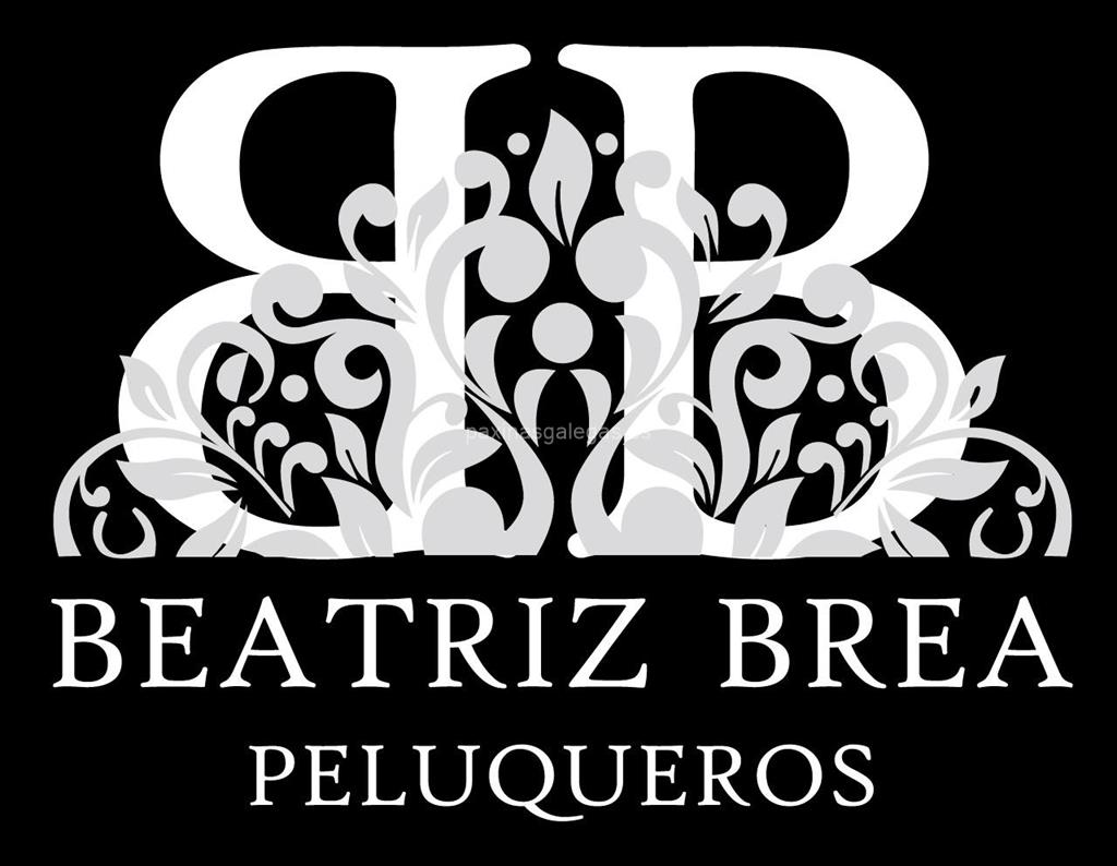 logotipo Beatriz Brea Peluqueros (Wella)
