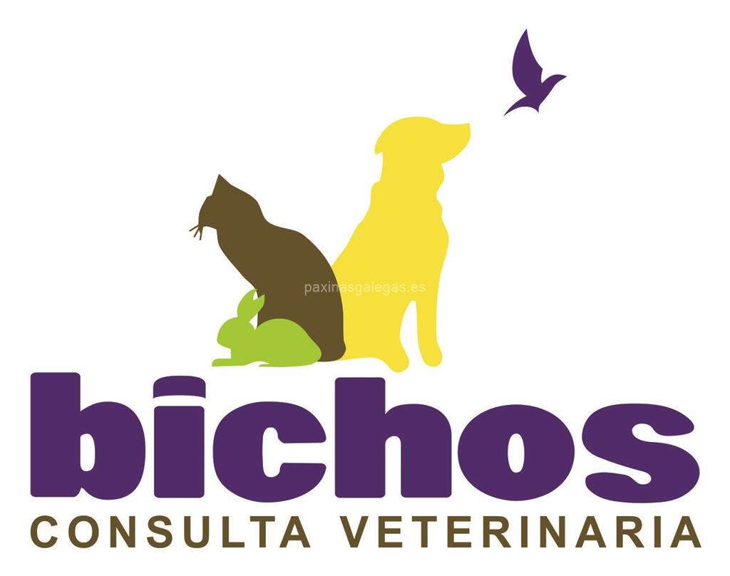 logotipo Bichos Consulta Veterinaria