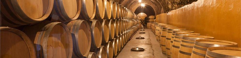 Bodegas de vino en provincia Pontevedra