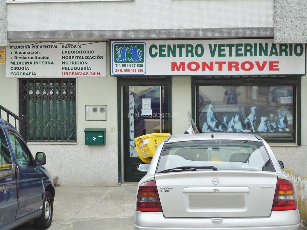imagen principal Centro Veterinario Montrove