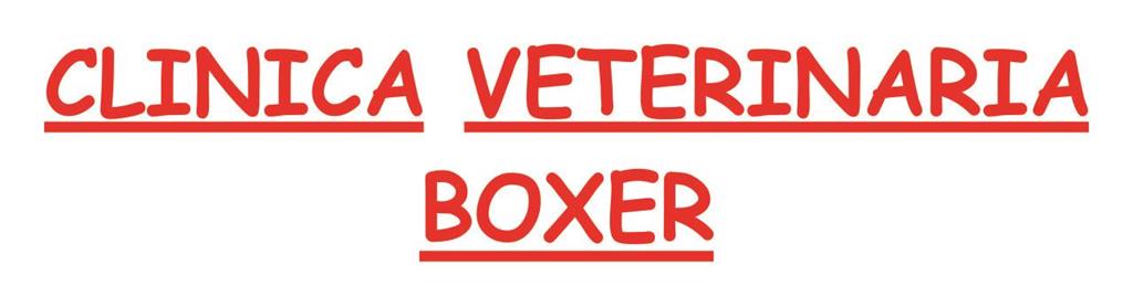 logotipo Clínica Veterinaria Boxer