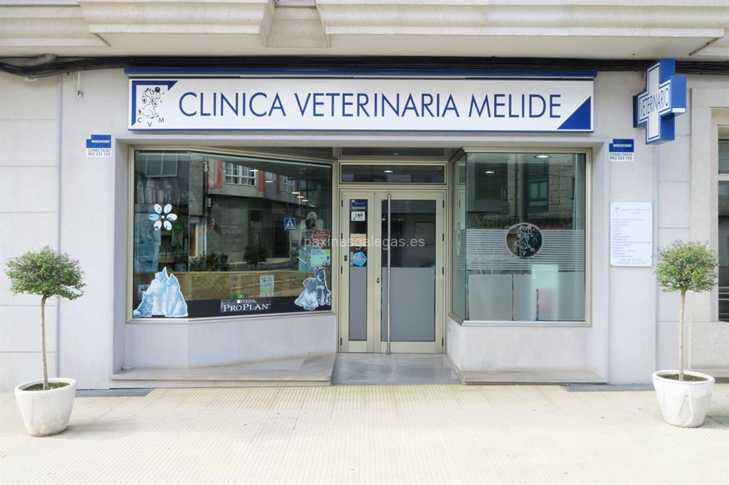imagen principal Clínica Veterinaria Melide