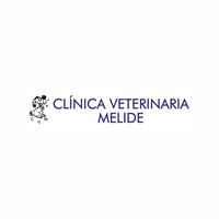 Logotipo Clínica Veterinaria Melide