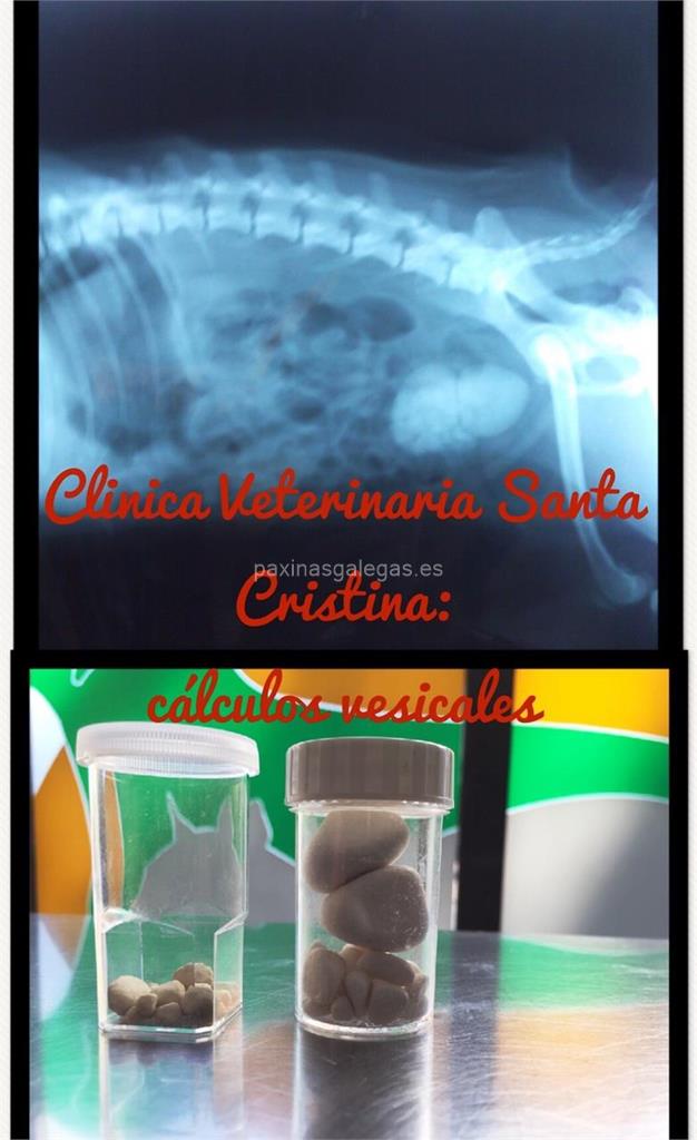 Clínica Veterinaria Santa Cristina imagen 7