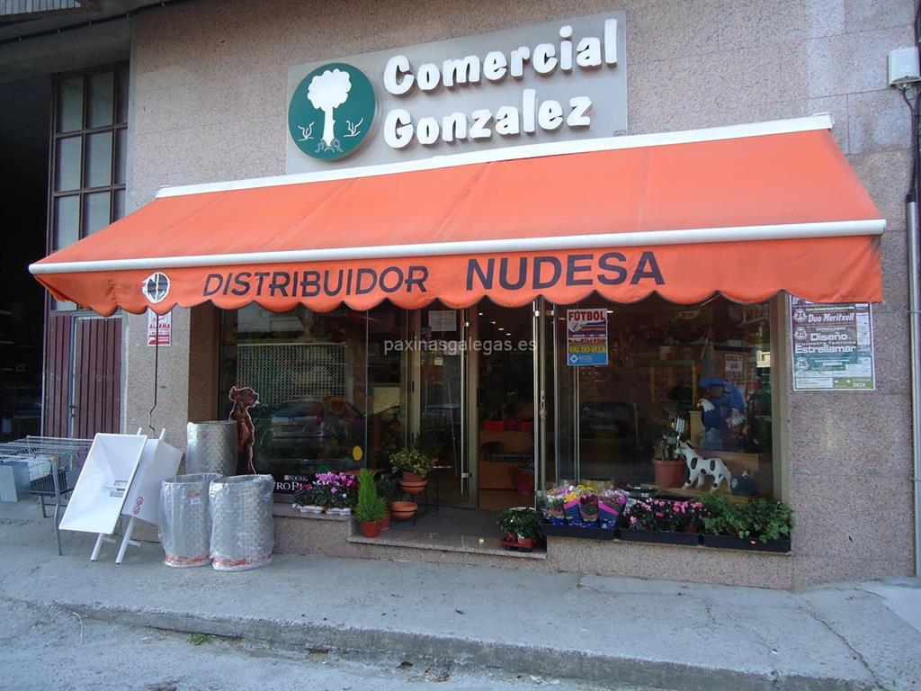 imagen principal Comercial González (Nudesa)
