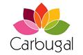 logotipo Cortiñán- Carbugal