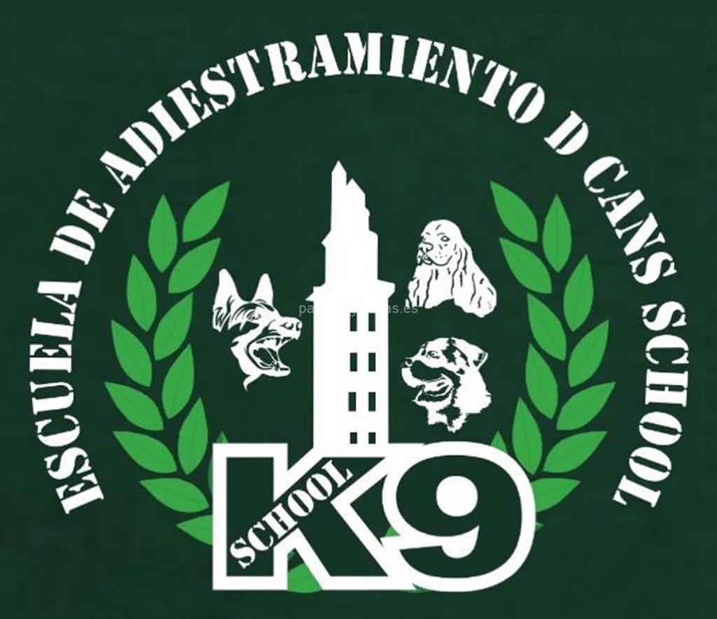 logotipo D Cans School