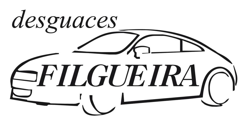 logotipo Desguaces Filgueira