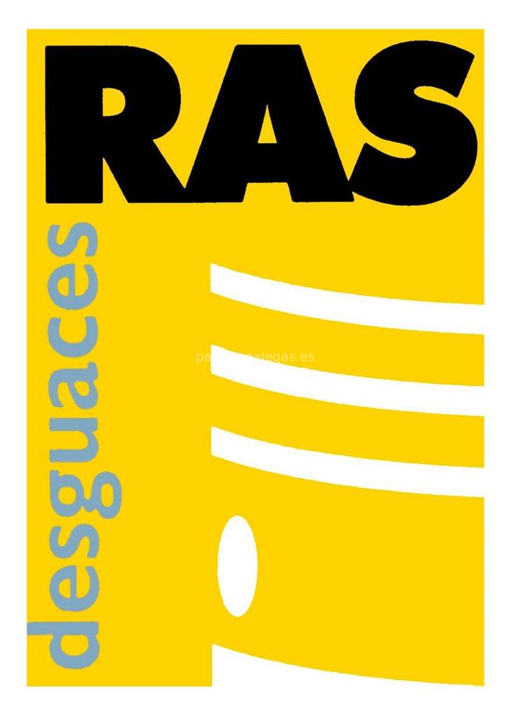 logotipo Desguaces Ras