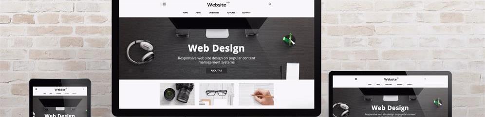 Diseño páginas Web en provincia Ourense