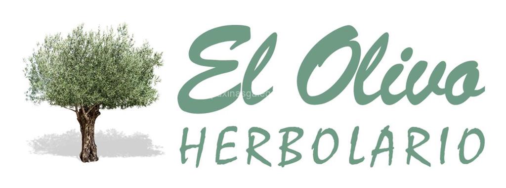 logotipo El Olivo