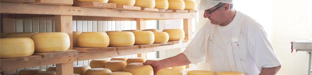 Fábricas de quesos, queserías en Galicia