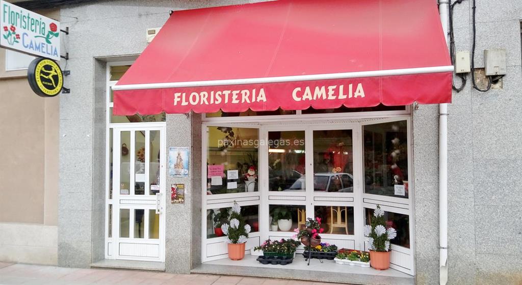 imagen principal Floristería Camelia - Interflora