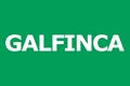 logotipo Galfinca