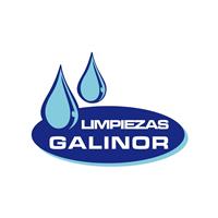 Logotipo Galinor