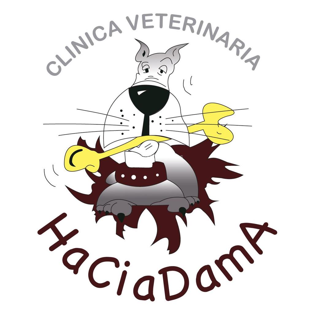 logotipo Haciadama