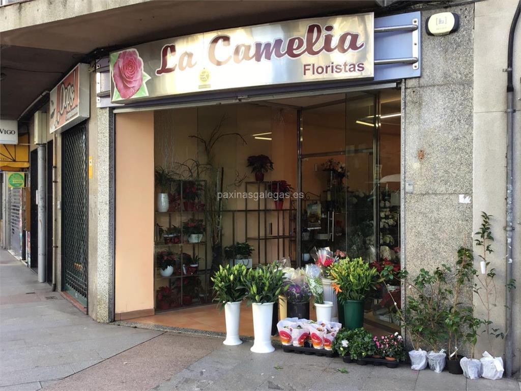 imagen principal La Camelia Floristas - Interflora