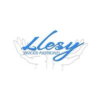 Logotipo Llesy