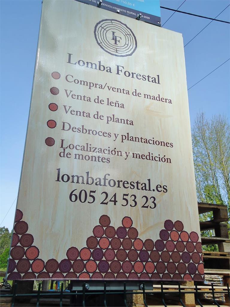 Lomba Forestal imagen 12