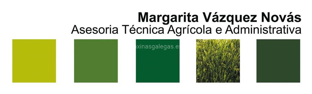 logotipo Margarita Vázquez Novás