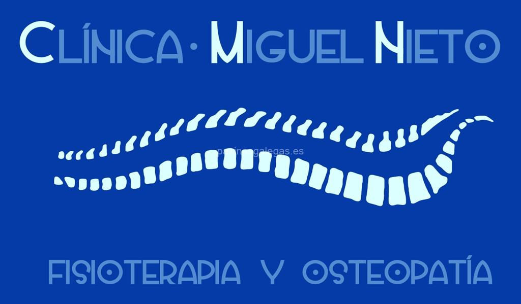logotipo Miguel Nieto