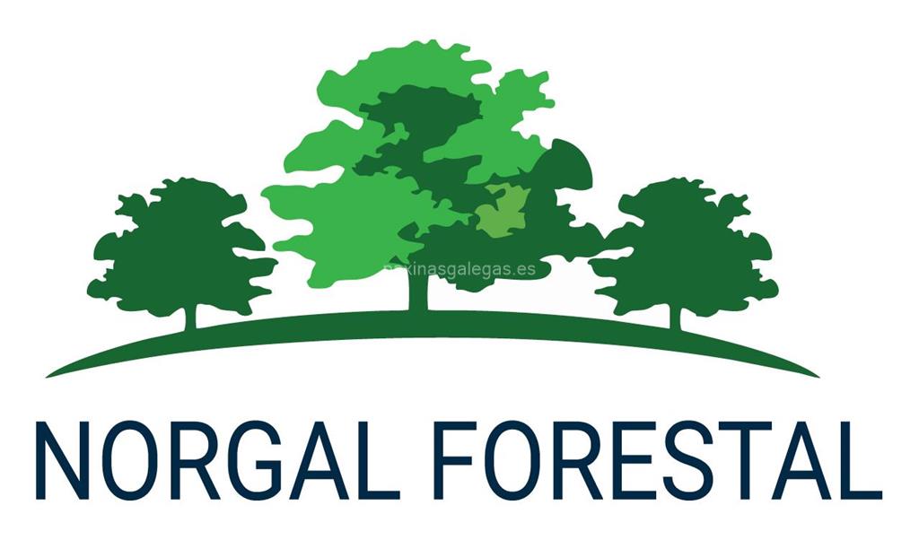 logotipo Norgal Forestal