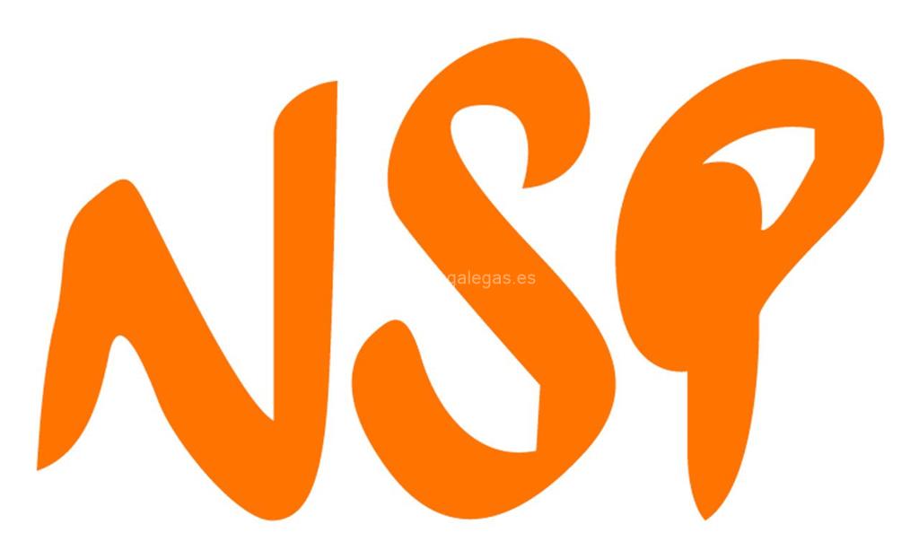 logotipo Nosoloparquet