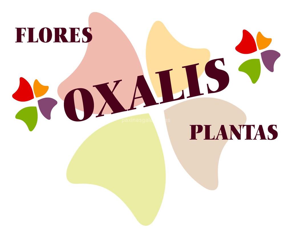 logotipo Oxalis