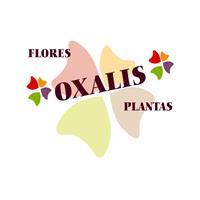 Logotipo Oxalis