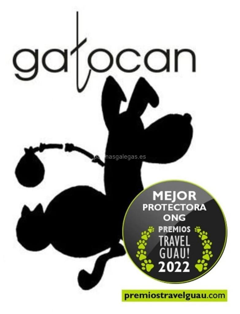 logotipo Refuxio de Animais Gatocan