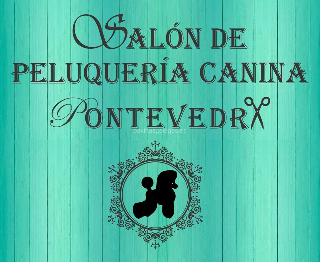 logotipo Salón de Peluquería Canina Pontevedra