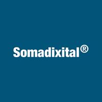 Logotipo Soma Dixital