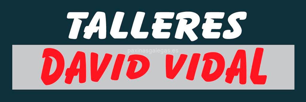 logotipo Talleres David Vidal