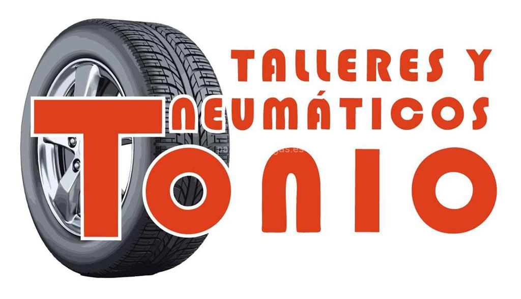 logotipo Talleres y Neumáticos Tonio (Dunlop)