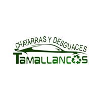 Logotipo Tamallancos