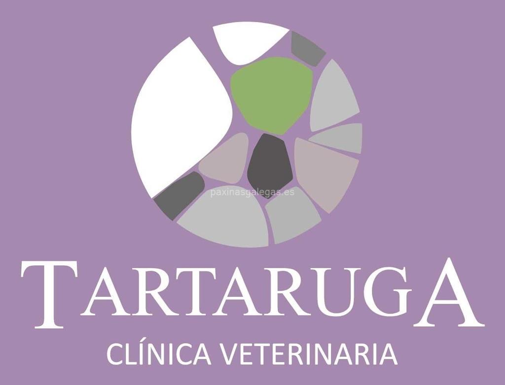 logotipo Tartaruga